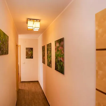Apartments Romano Ровинь